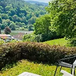 Luftkurort, Perle Des Neckartals Hirschhorn