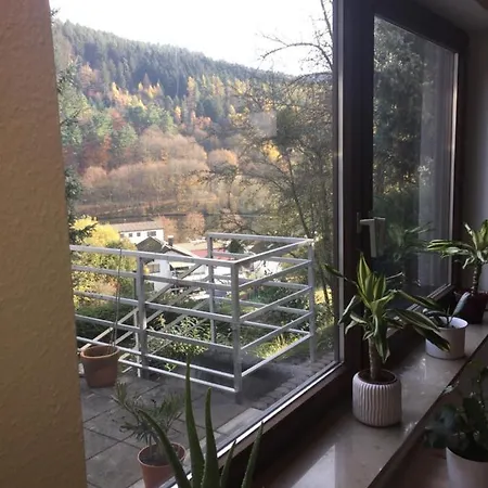 Apartment Luftkurort, Perle Des Neckartals *