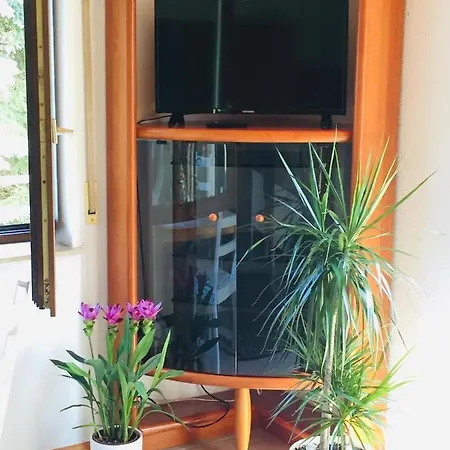 Appartement Luftkurort, Perle Des Neckartals Hirschhorn