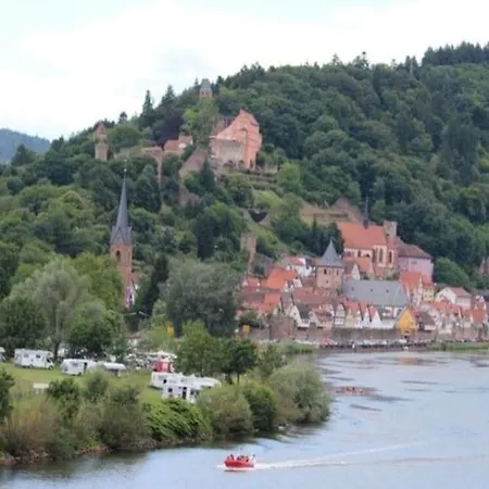 Luftkurort, Perle Des Neckartals * Hirschhorn