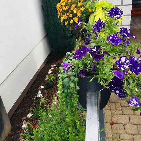 Luftkurort, Perle Des Neckartals Hirschhorn