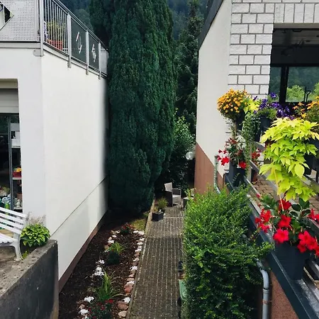 Luftkurort, Perle Des Neckartals Lejlighed Hirschhorn