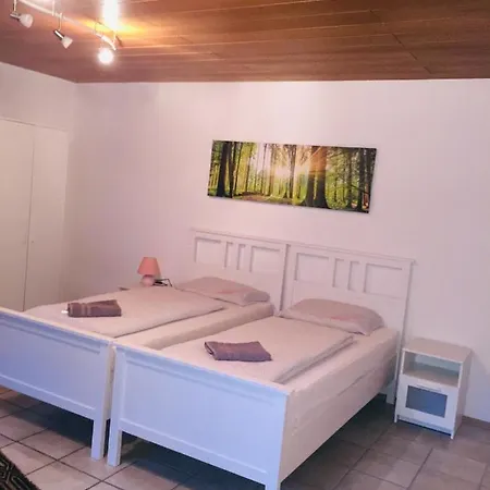 Apartamento Luftkurort, Perle Des Neckartals Hirschhorn