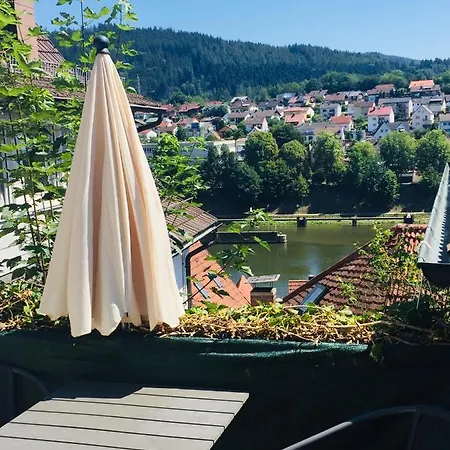 Luftkurort, Perle Des Neckartals * Hirschhorn