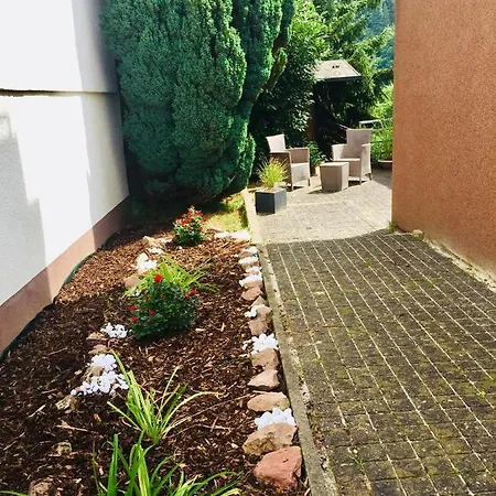 Luftkurort, Perle Des Neckartals Hirschhorn