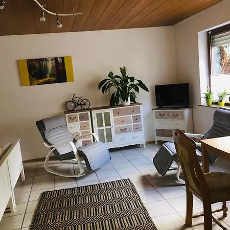 Luftkurort, Perle Des Neckartals Hirschhorn