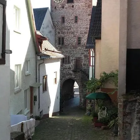 Luftkurort, Perle Des Neckartals Lejlighed *