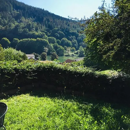 Luftkurort, Perle Des Neckartals Appartement *