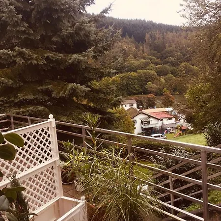 Luftkurort, Perle Des Neckartals * Hirschhorn