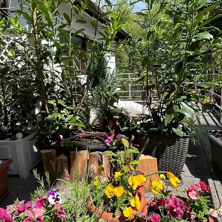 Luftkurort, Perle Des Neckartals