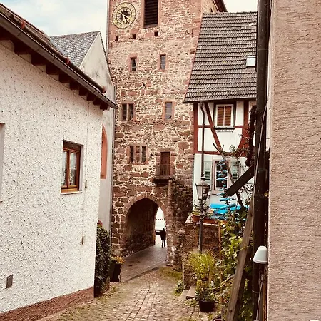 Apartamento Luftkurort, Perle Des Neckartals Hirschhorn