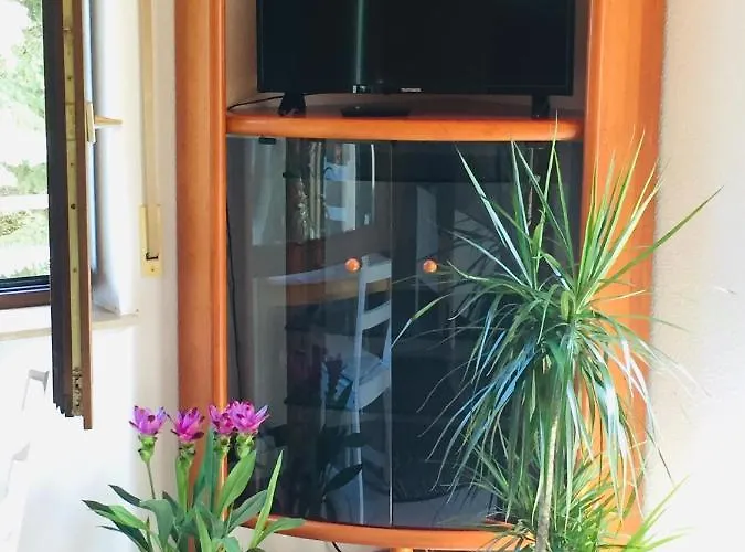 Apartman Luftkurort, Perle Des Neckartals Hirschhorn