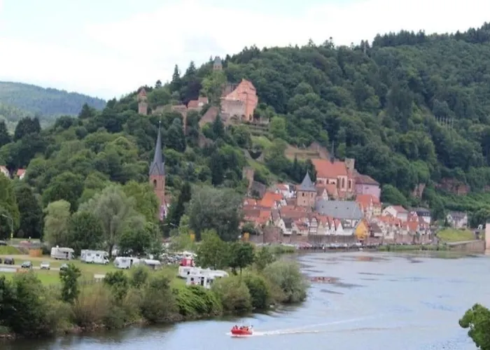 Luftkurort, Perle Des Neckartals * Hirschhorn