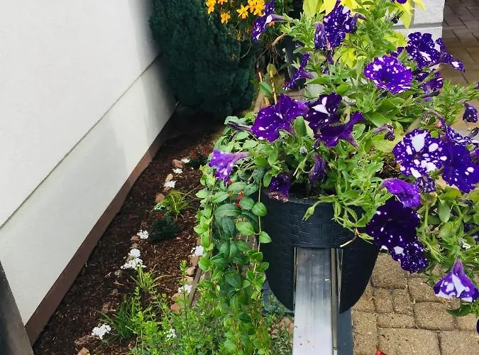 Luftkurort, Perle Des Neckartals Hirschhorn