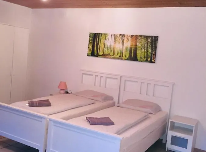 Apartman Luftkurort, Perle Des Neckartals Hirschhorn