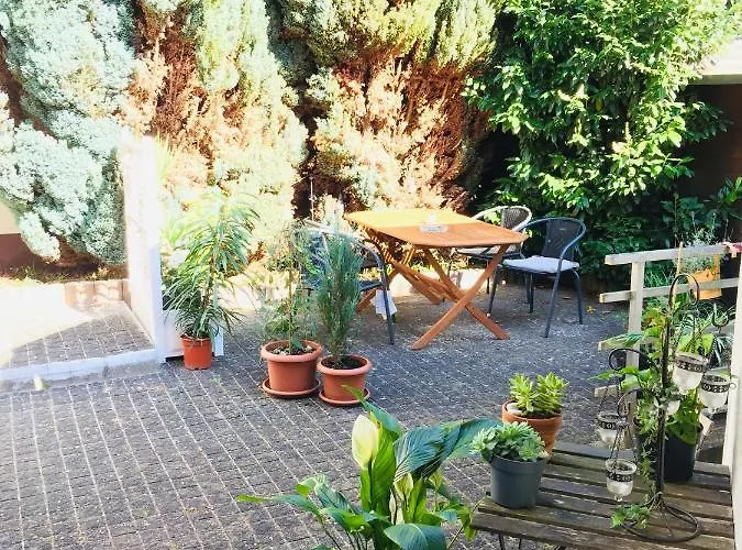 Luftkurort, Perle Des Neckartals Hirschhorn