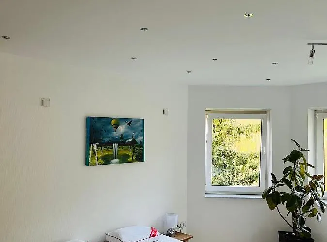 Luftkurort, Perle Des Neckartals Hirschhorn